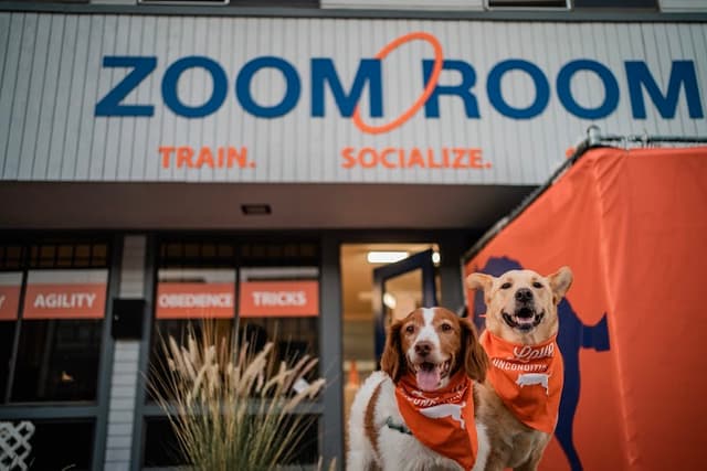 Zoom Room Dog Training photo 1