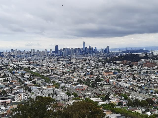 Bernal Heights Dog Play Area