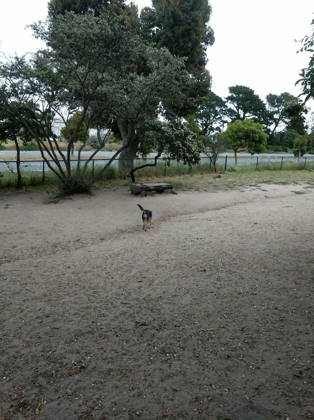 Brotherhood & Alemany Dog Play Area