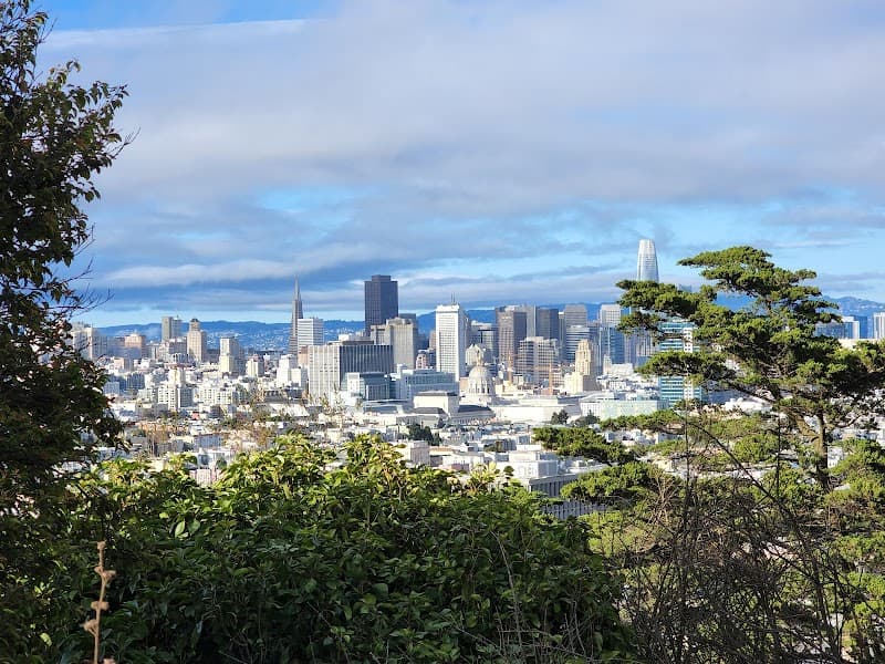 Corona Heights Dog Run - Dog Park in San Francisco, CA | Indoor Dog Park