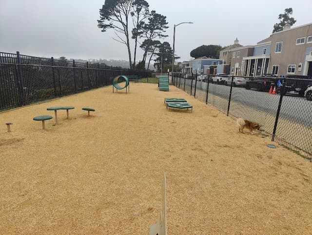 Dog Agility Park photo 1