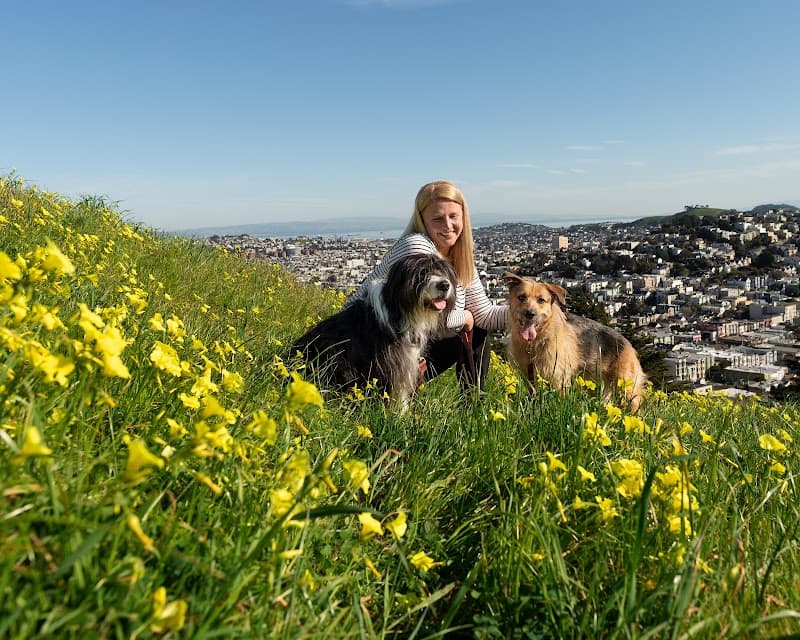 Good Dog Happy Dog LLC - Dog Park in San Francisco, CA | Indoor Dog Park