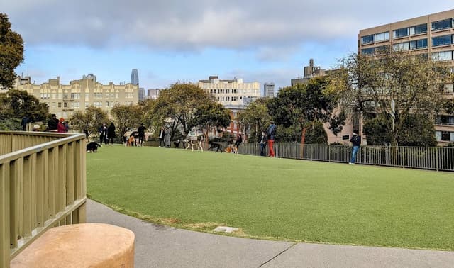 Lafayette Park Dog Play Area photo 1