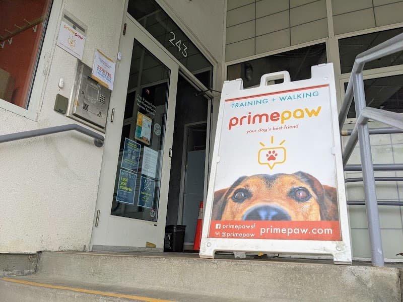 Primepaw Dog Training: San Francisco's BEST! - Dog Park in San Francisco, CA | Indoor Dog Park