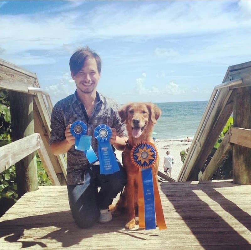 Stanfur'd k9 - Dog Training - Dog Park in San Francisco, CA | Indoor Dog Park