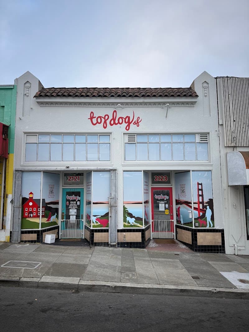 Top Dog SF - Dog Park in San Francisco, CA | Indoor Dog Park
