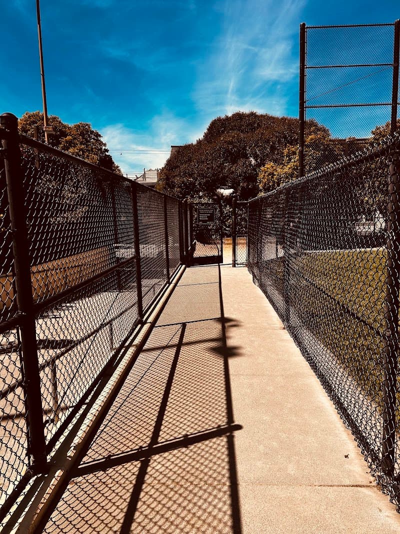 Upper Noe Dog Play Area - Dog Park in San Francisco, CA | Indoor Dog Park
