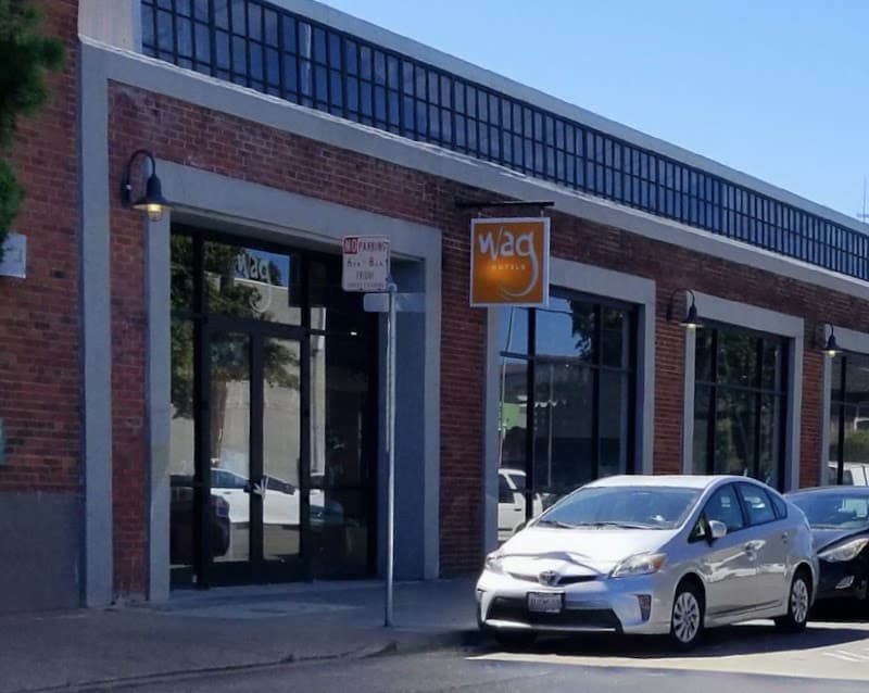 Wag Hotels - San Francisco - Dog Park in San Francisco, CA | Indoor Dog Park