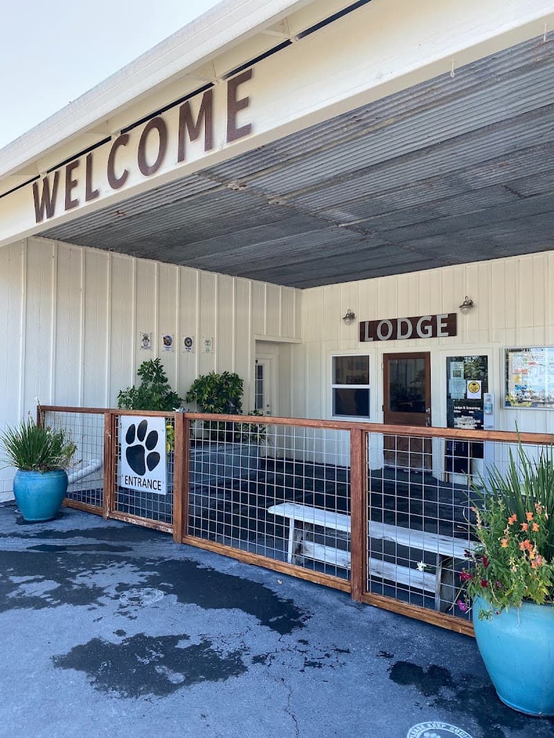 K9 Activity Club - Dog Park in Santa Rosa, CA | Indoor Dog Park