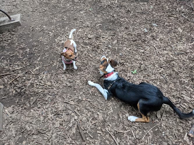 St. Nicholas Park Dog Run