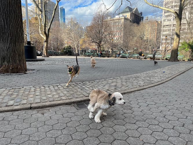 Stuyvesant Park Dog Run