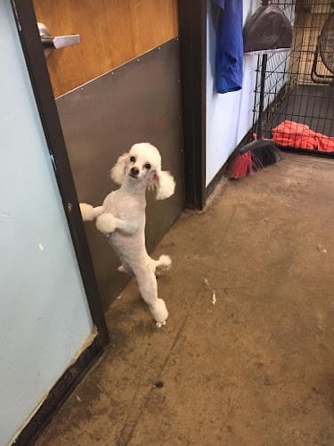 WAG-A-LOT Downtown