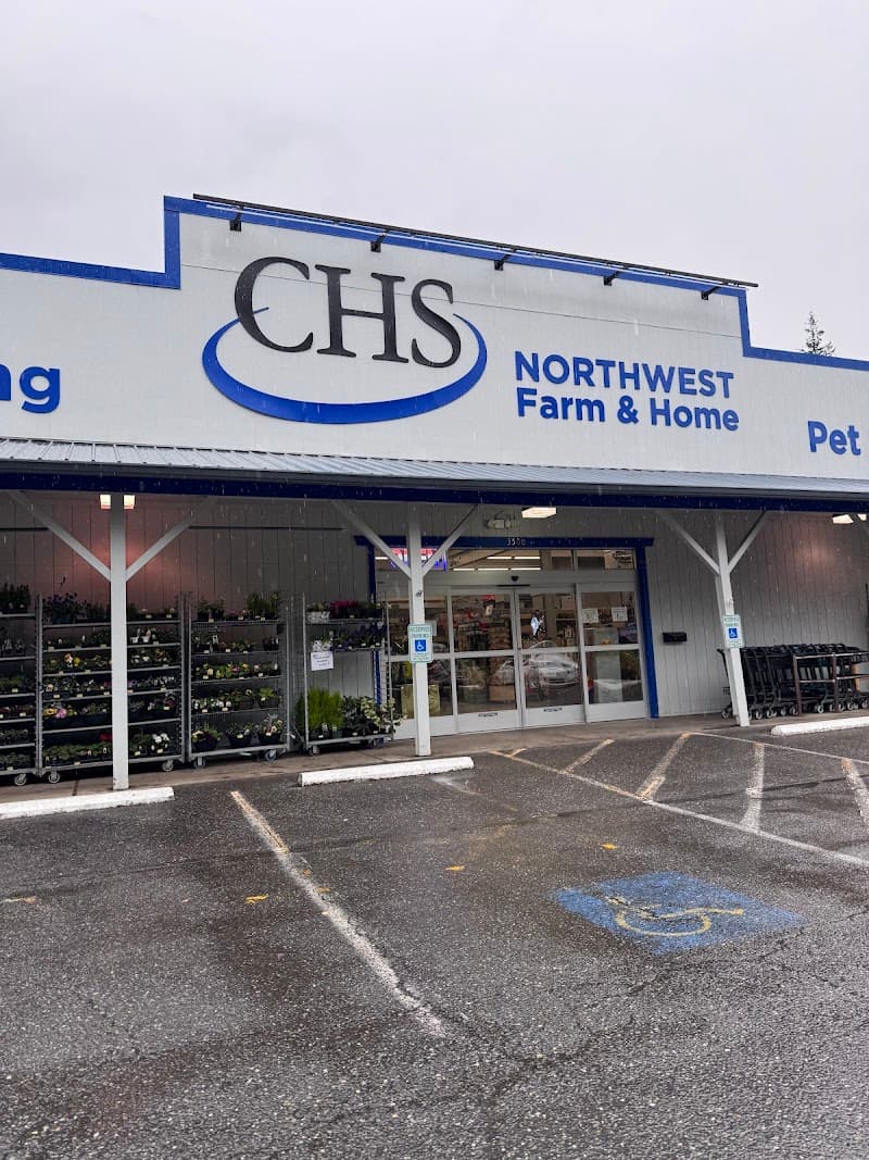 Dog parks in Bellingham, WA