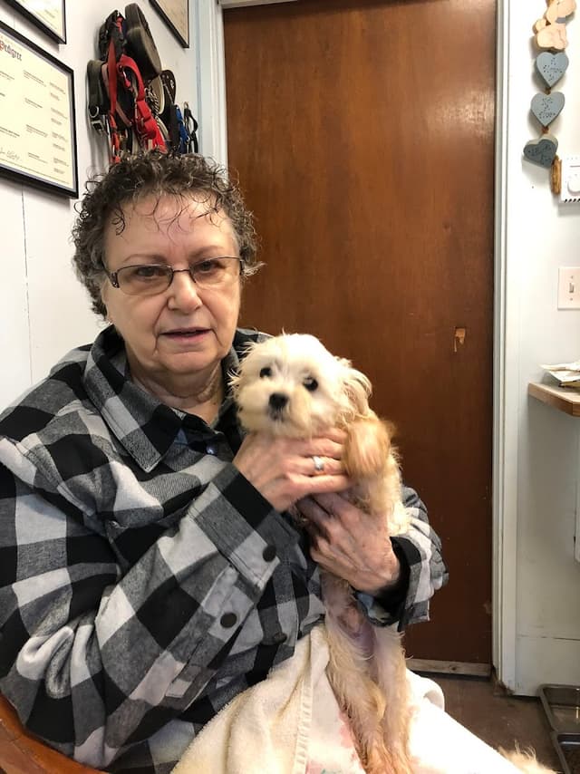 Howdee Kennels photo 3