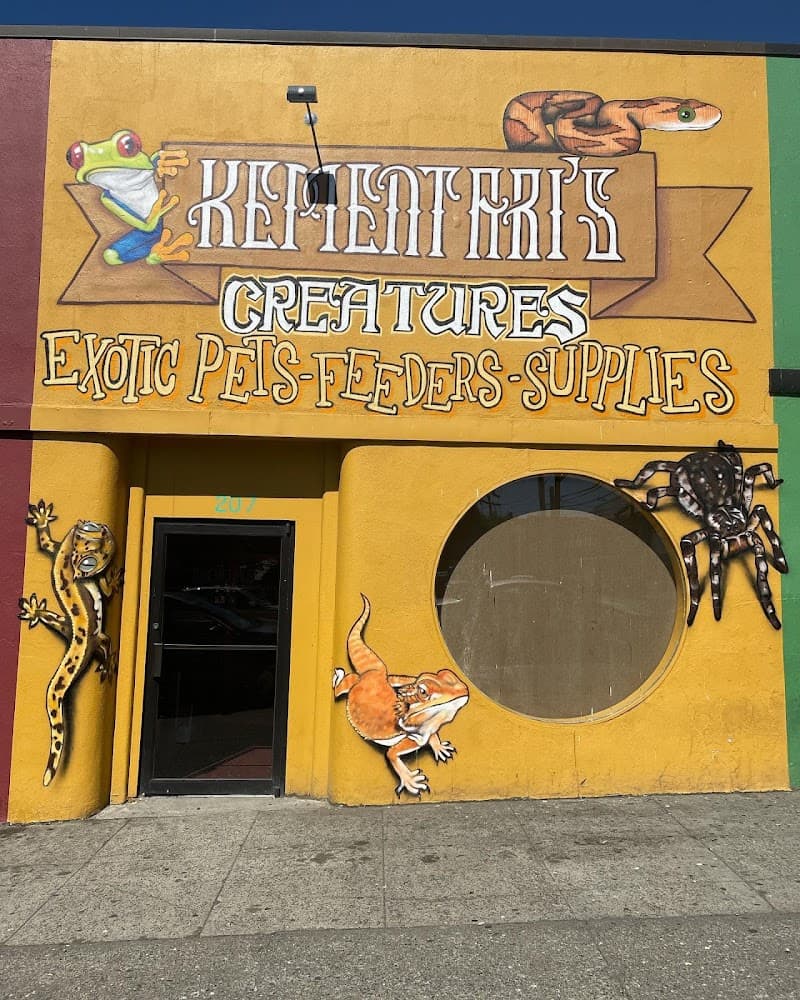 Kementari's Creatures Bellingham - Indoor Dog Park in Bellingham, WA | Indoor Dog Park