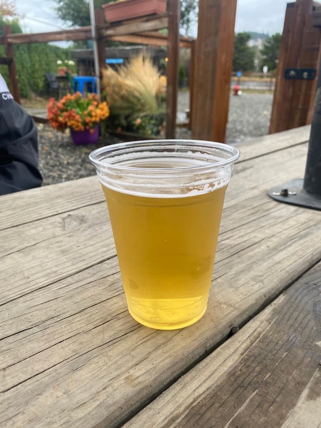 Paws For A Beer photo 2