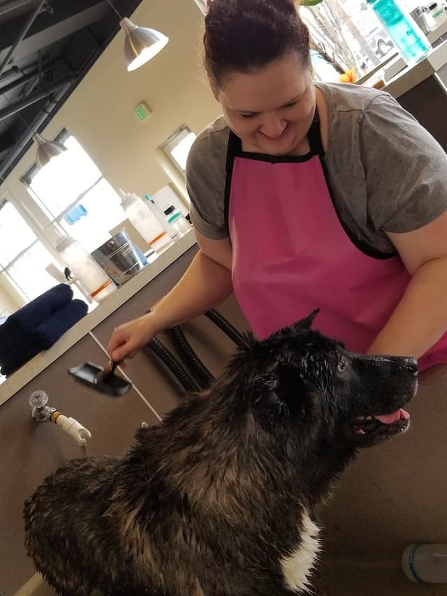 Shake & Shine LLC photo 1