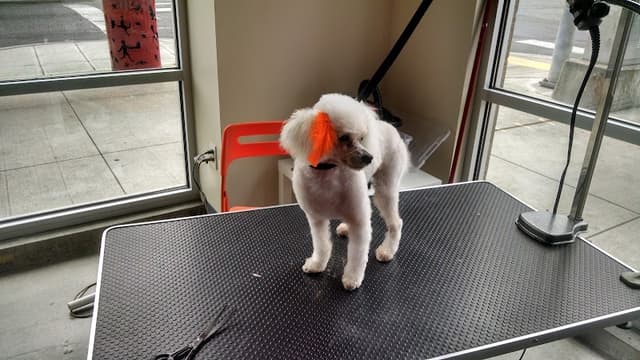 Shake & Shine LLC photo 2