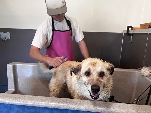 Shake & Shine LLC photo 3