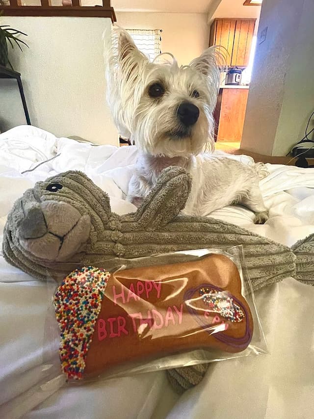 Everett Pet Nutrition photo 3