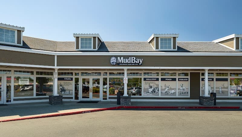 Mud Bay - Indoor Dog Park in Everett, WA | Indoor Dog Park