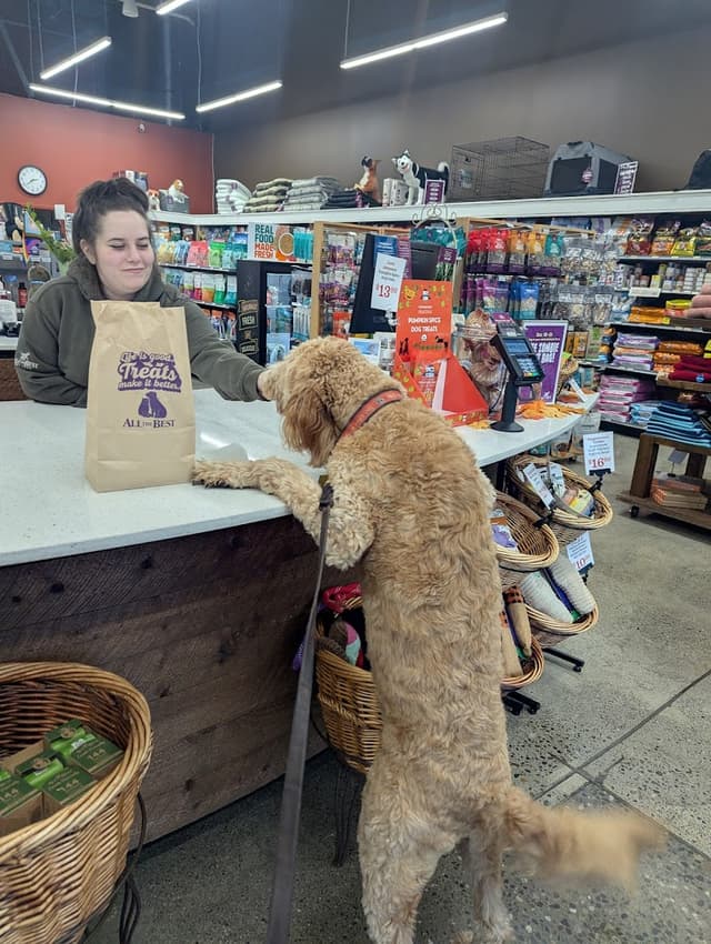 All The Best Pet Care - Burien photo 3