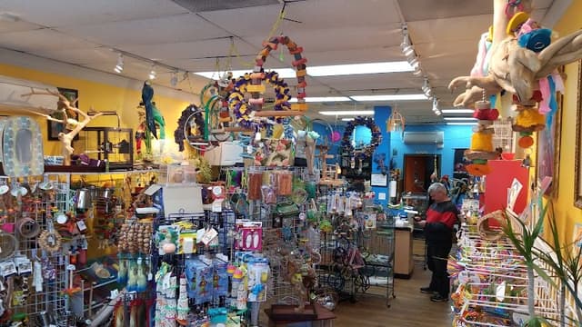 Inca's Secret Parrot & Bird Toys/Boarding photo 2