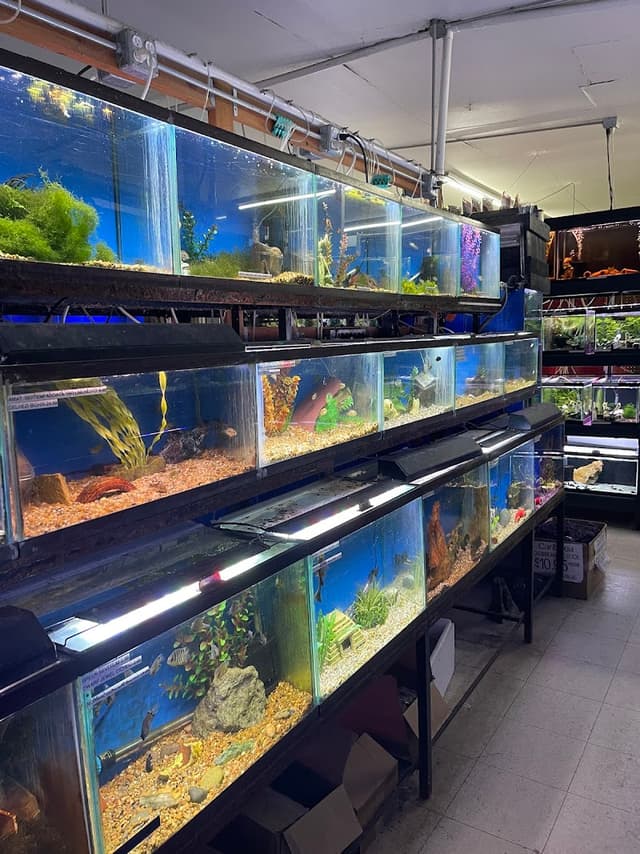 Midway Tropical Fish & Pets photo 3