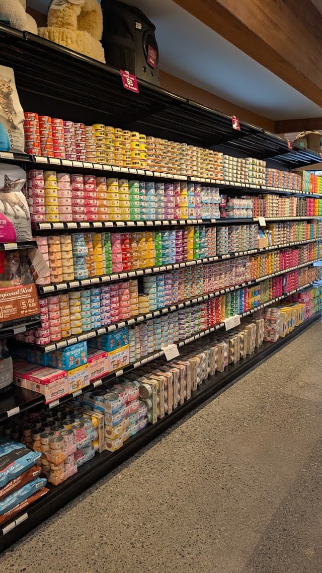 All The Best Pet Care Capitol Hill photo 2