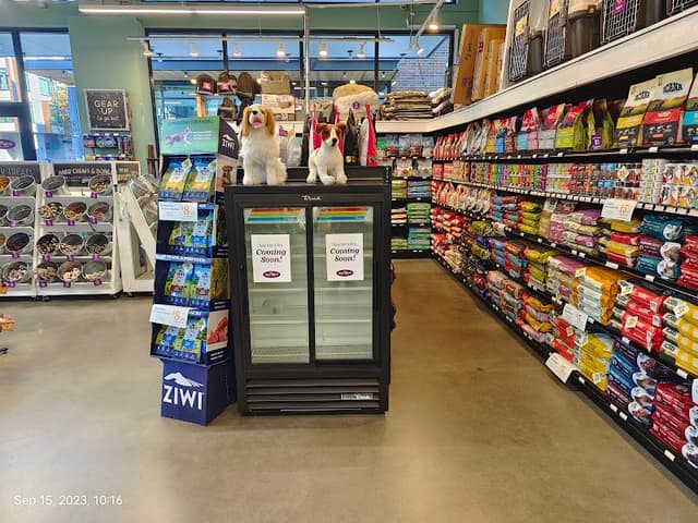 All The Best Pet Care Central District photo 2