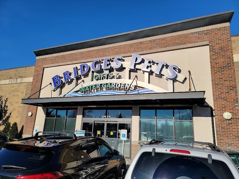 Bridges Pets, Gifts & Water Gardens - Indoor Dog Park in Seattle, WA | Indoor Dog Park