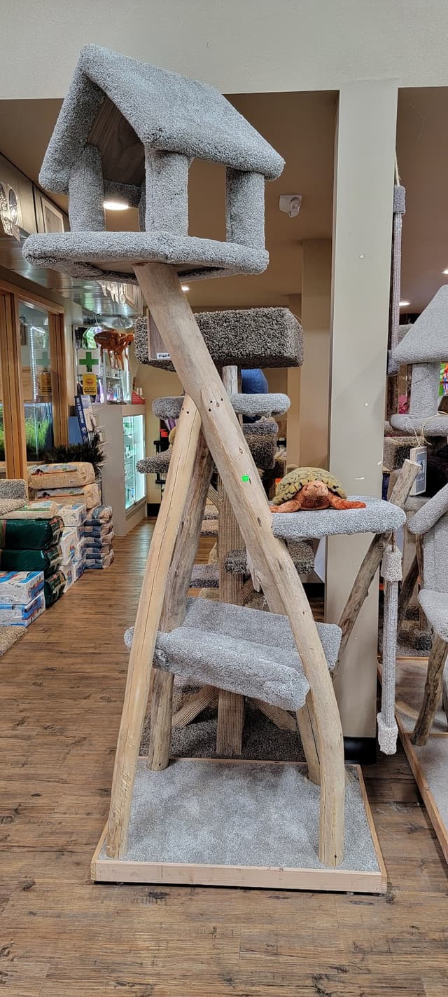 Denny's Pet World photo 3