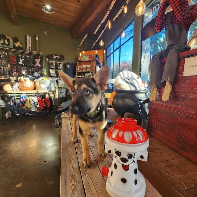 Earthwise Pet - Fremont photo 2