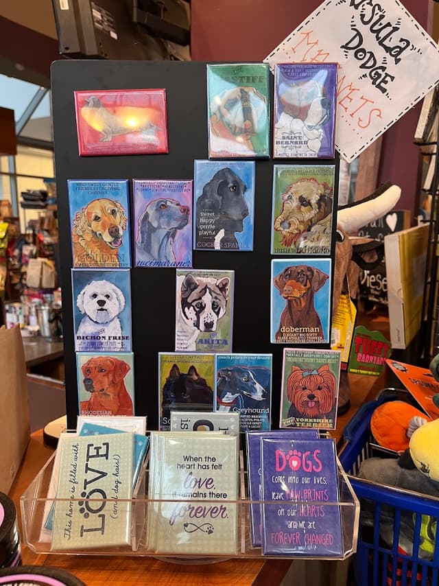 Eastside Dog and Cats Too photo 3