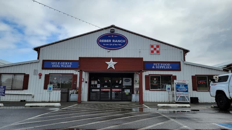 Reber Ranch - Indoor Dog Park in Seattle, WA | Indoor Dog Park