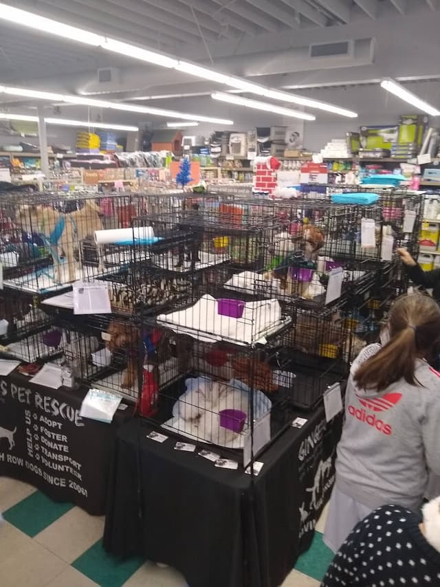 Sierra Fish & Pets photo 2