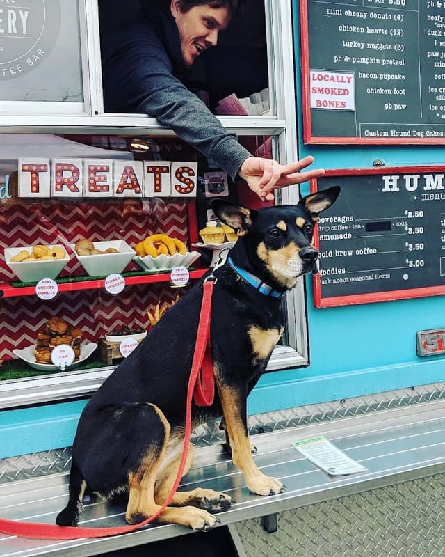 The Seattle Barkery photo 2