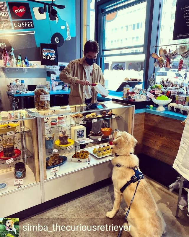 The Seattle Barkery photo 3