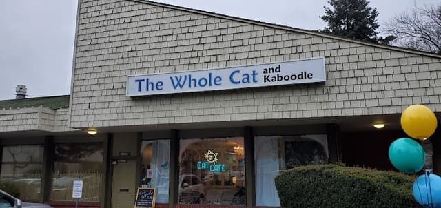 The Whole Cat and Kaboodle photo 1