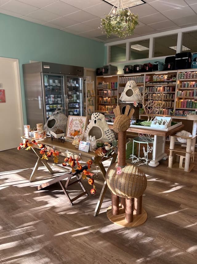 The Whole Cat and Kaboodle photo 2