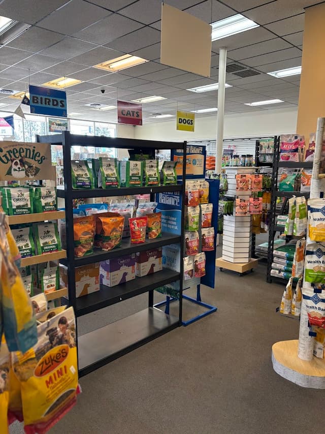 Pet Paradise photo 2