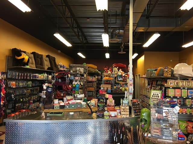 The Urban Canine photo 2