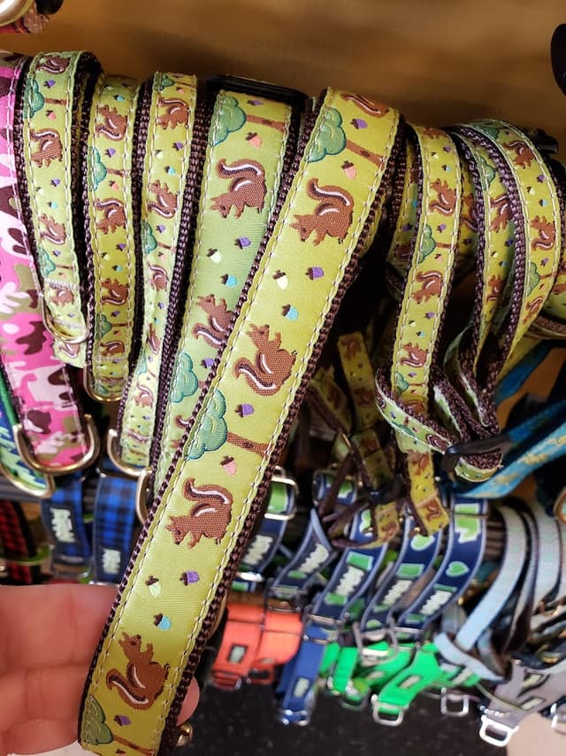 The Urban Canine photo 3