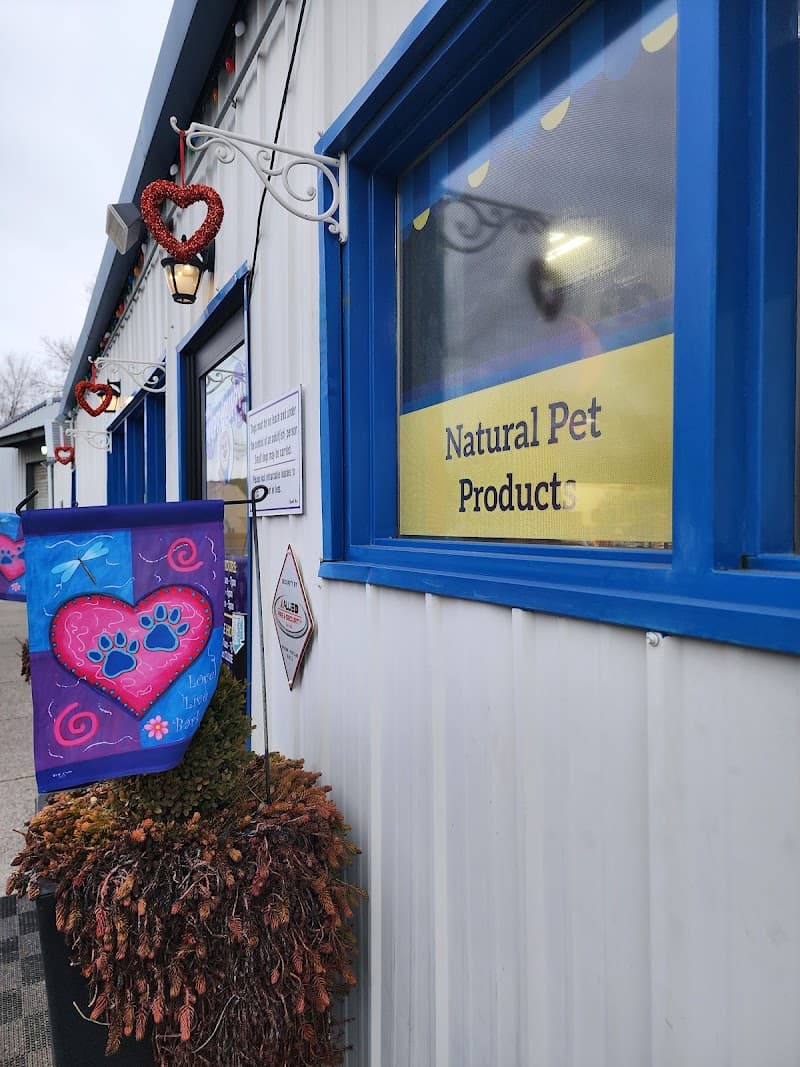 The Yuppy Puppy - Indoor Dog Park in Spokane, WA | Indoor Dog Park