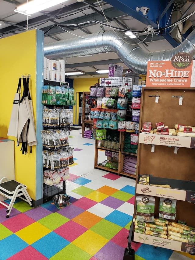 The Yuppy Puppy photo 2