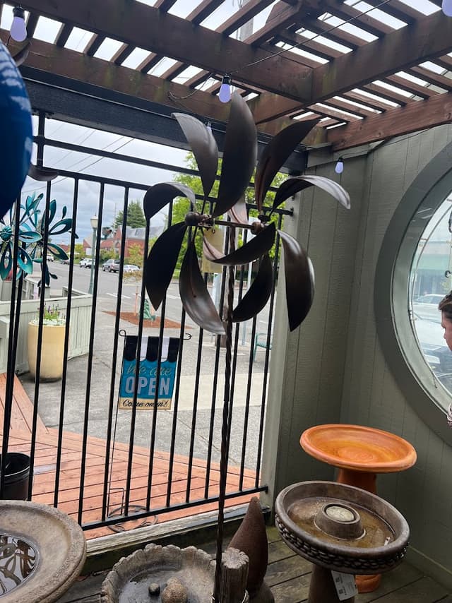 Chirp and Co photo 3