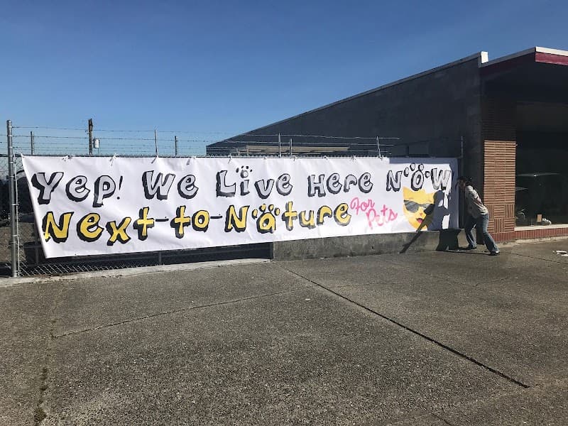 Next to Nature - Indoor Dog Park in Tacoma, WA | Indoor Dog Park