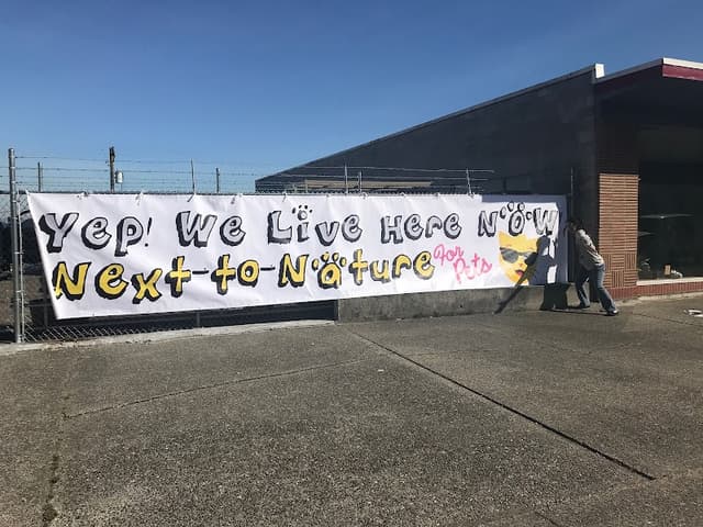 Next to Nature photo 1