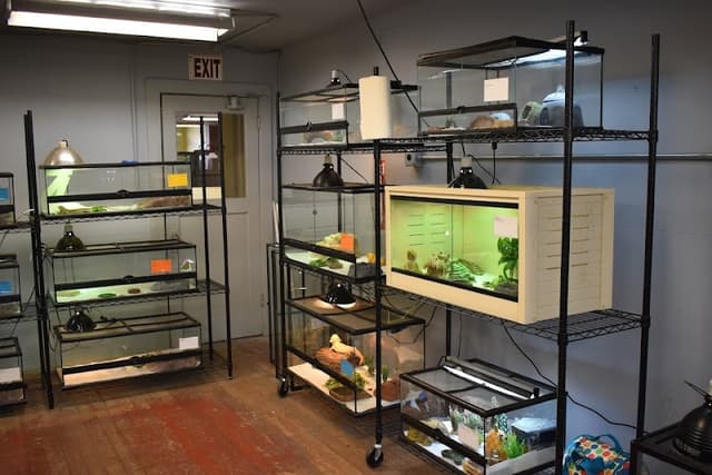 Pacific Northwest Aquatics and Exotics Rescue photo 2