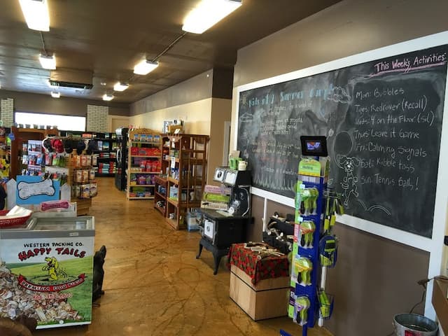 Positive Approach Dog Training & Daycare photo 3